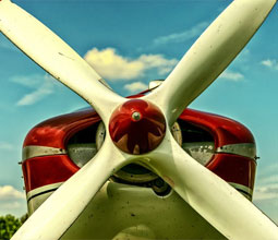 portfolio images